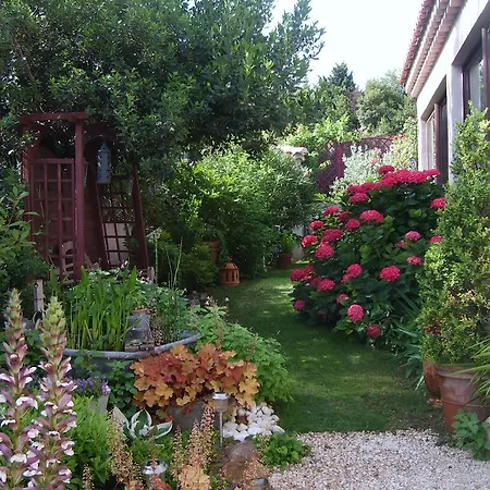 Le Clos Martin Eyragues Exterior foto
