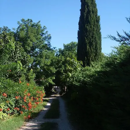 Le Clos Martin Eyragues Exterior foto