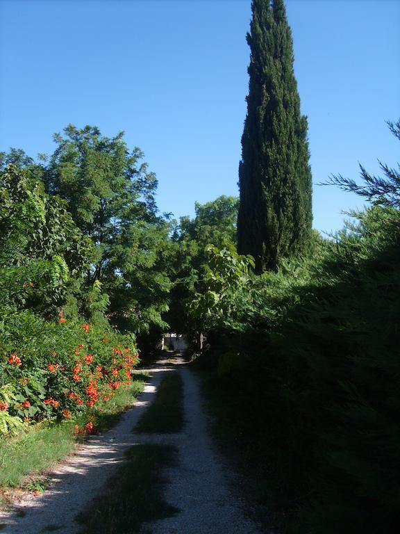 Apartment Le Clos Martin *